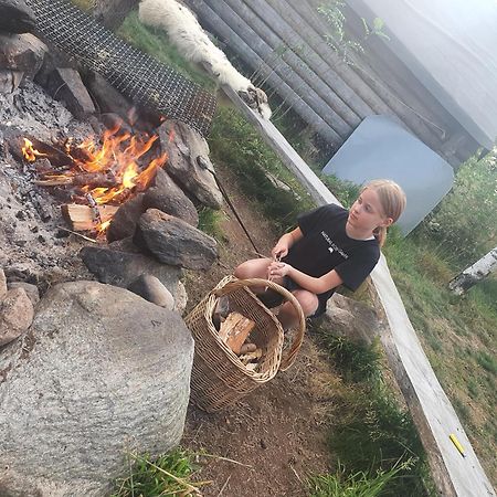 Willa Vittfarnas Vikingaby Sosdala Zewnętrze zdjęcie