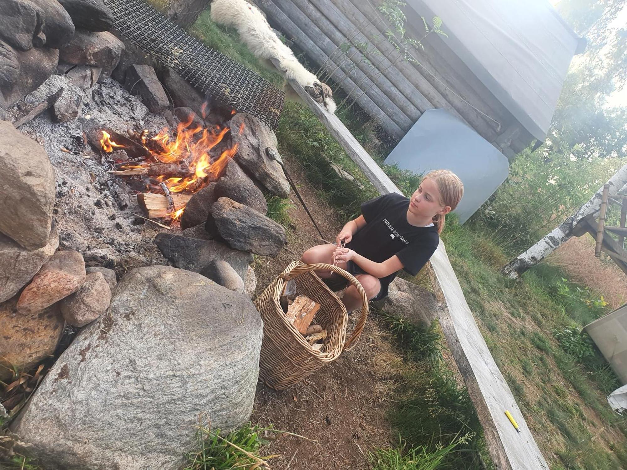 Willa Vittfarnas Vikingaby Sosdala Zewnętrze zdjęcie