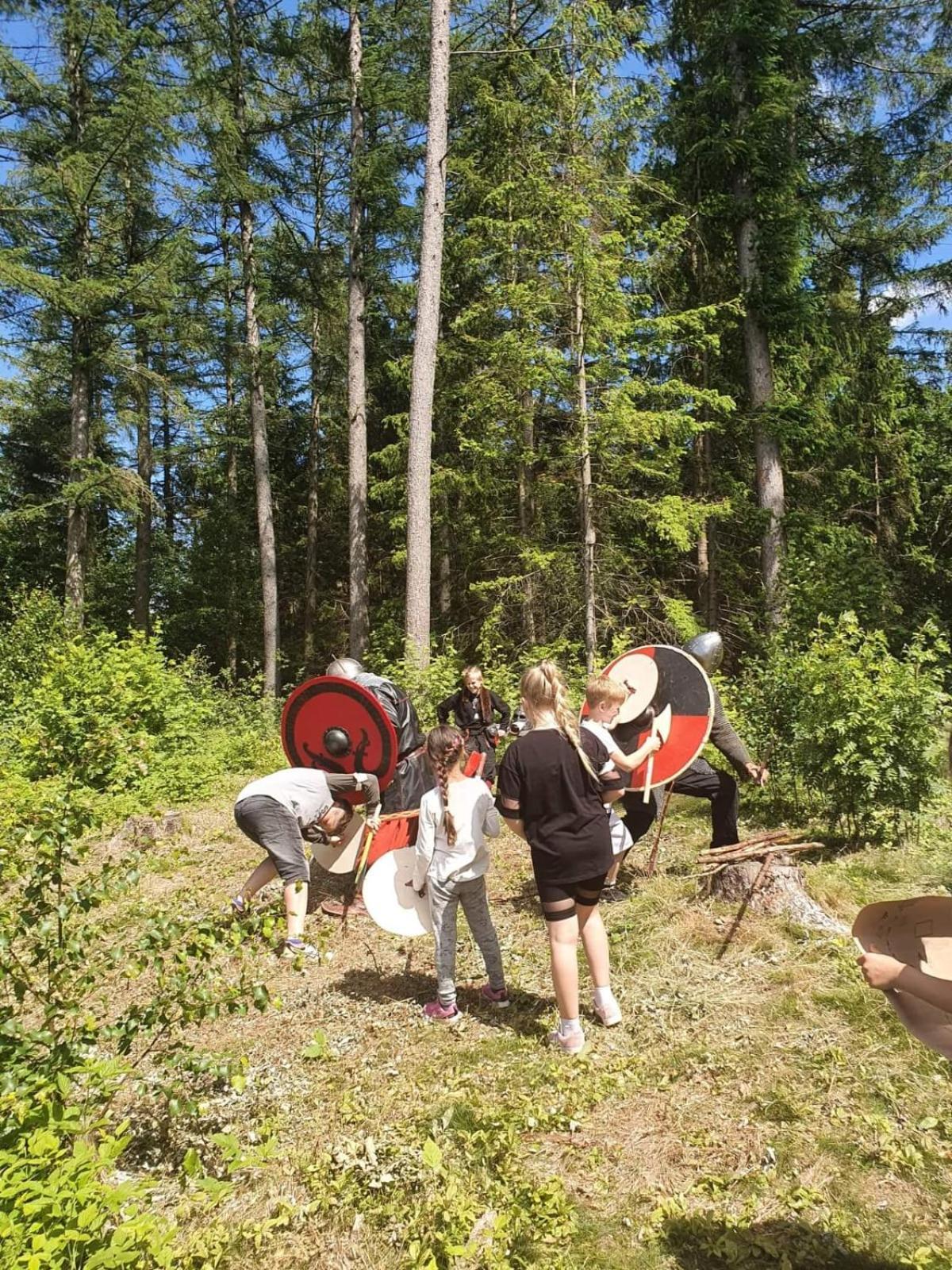 Willa Vittfarnas Vikingaby Sosdala Zewnętrze zdjęcie